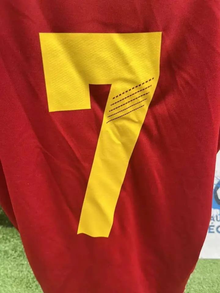 Maillot David Villa espagne Au Fil Des Légendes
