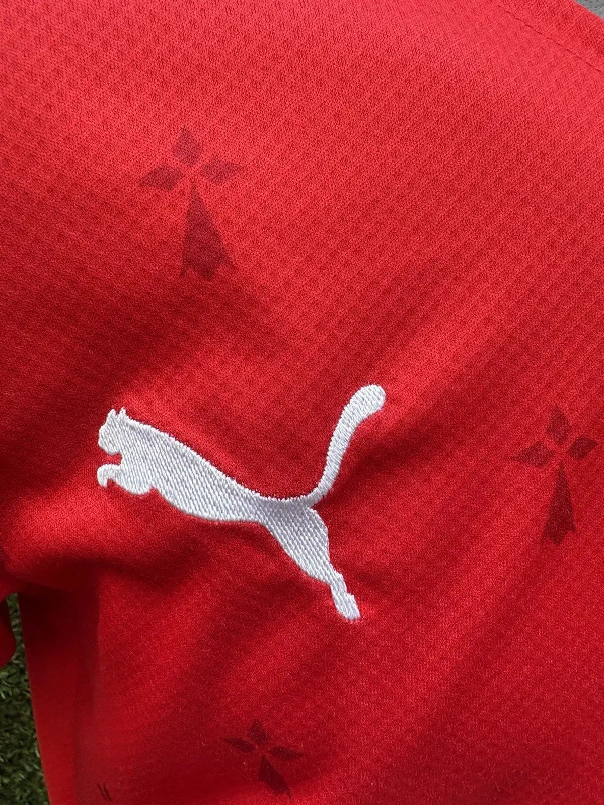 Maillot Terrier Stade Rennais - Au Fil Des Légendes puma football shirt